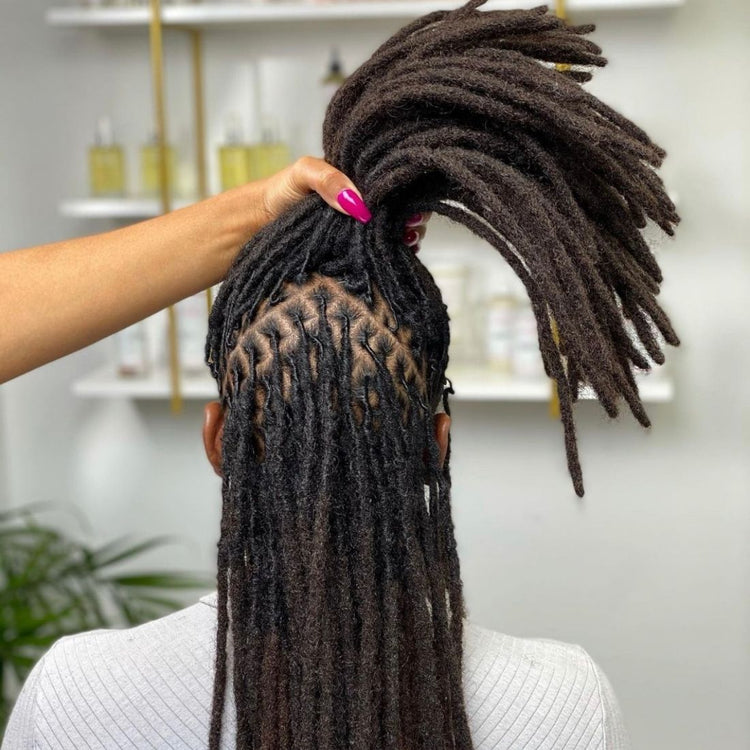 Loc Style Gallery – NappStar